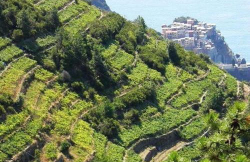 LIGURIA home - Foto 73