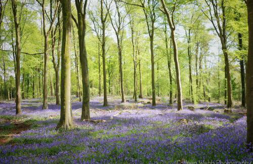 Stylish apartment close to Causeway Coast & Glens - Foto 34