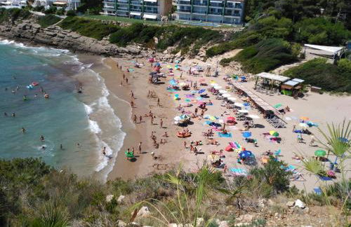 AGUILA DORADA - Foto 18