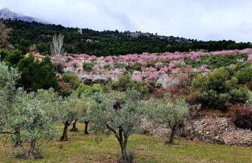 EL ÚNICO apartment with jacuzzi and art - Photo 11