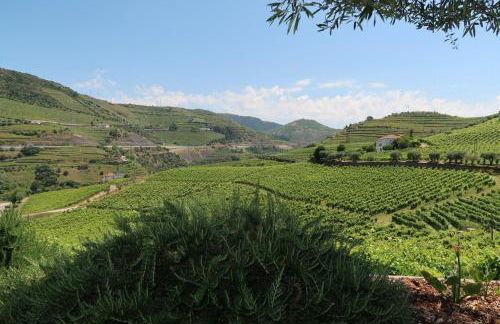 Casa Da Formiga - Foto 19