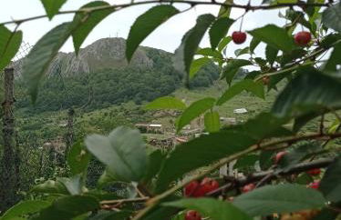 Casa Manuel y Ana María. - Foto 24