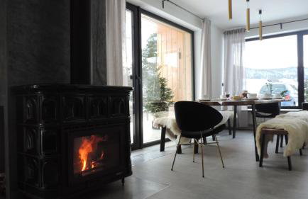 Forest Inn Berest - Foto 17