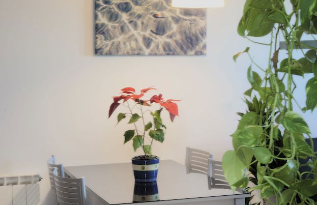 Apartamentos Turísticos Bahía de Boó - Foto 18