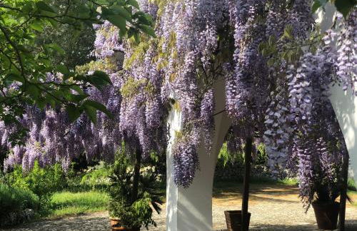 I PapaTrulli MiniResort - Foto 67