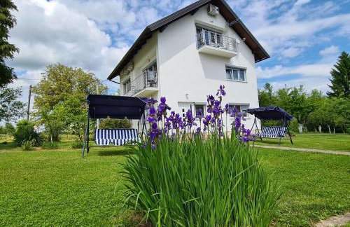 Boutique Apartments Nikola Tesla - Foto 19