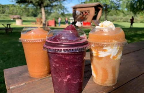 The Sansa Suite at Brants Apple Orchard - Foto 24