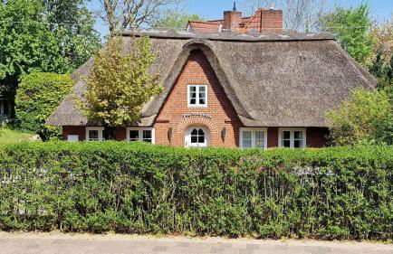 Frahmshörn - Foto 34