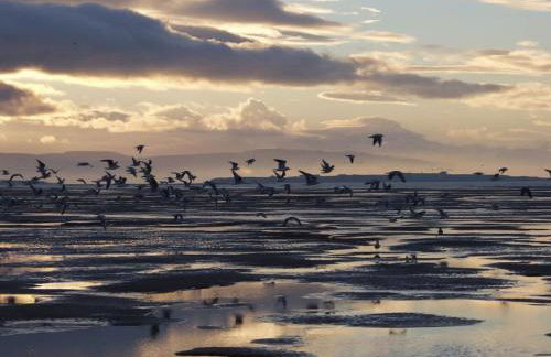 8 person home in Hoylake - The Wirral Peninsula - Foto 23