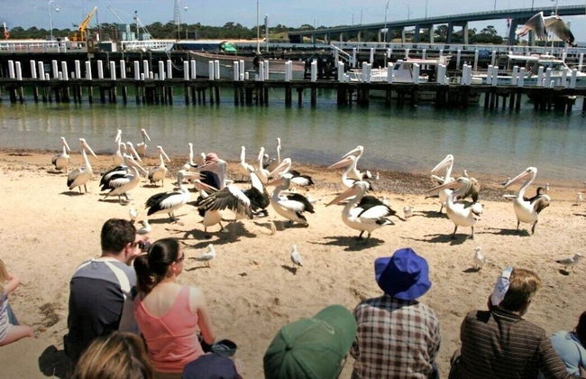 Apartment with views - Foto 24