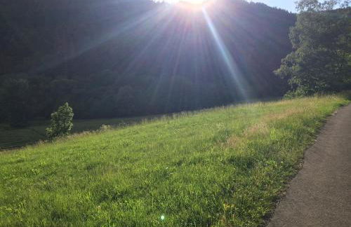 FeWo im Tal der Sonne - Albtal - Foto 22