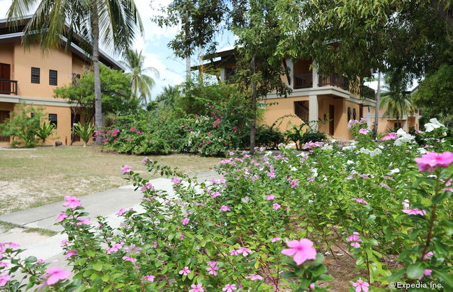 Dos Palmas Island Resort & Spa - Foto 63