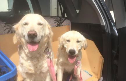 Casa Verdi Colli - Foto 33