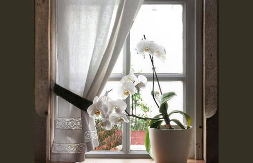 LA CASA ALTA en la ruta del Camino de Santiago - Foto 41