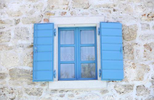 Olive's Hug - Foto 24