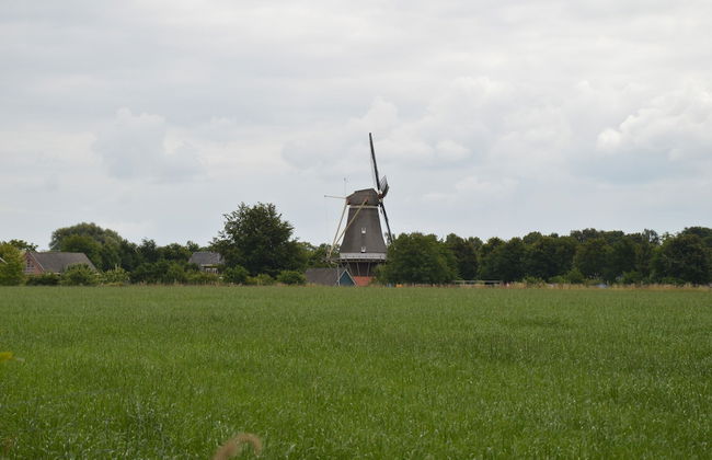 Farmhouse in Geesteren Near Forests - Photo 31