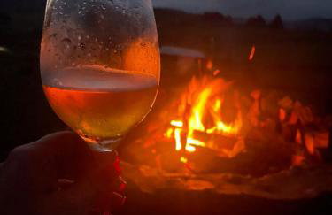 Fazenda Rodeio Bonito - Photo 16