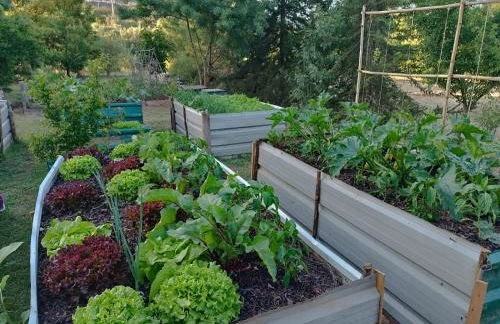 Quinta do Arade - casa 4 pétalas - Foto 58