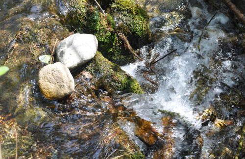 Mas Corbella - Foto 61