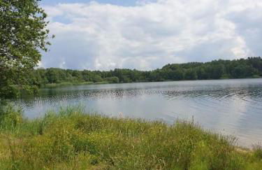 Ferienhaus mit privatem Seezugang, Sauna, Strand, Wassersport, Ruderboot, Stand Upp - Foto 19