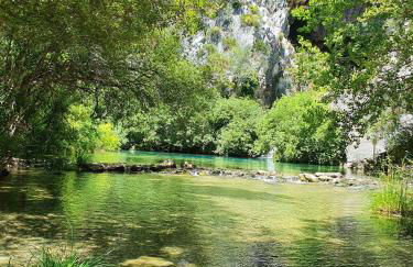 Casa Rural las Rosas de Benaojan - Photo 8