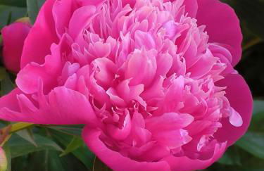 CARLA' S HOUSE - Foto 28