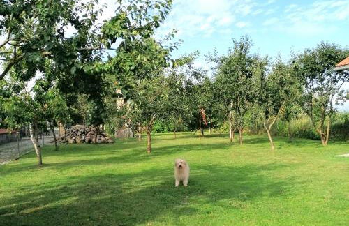 Hof am Meer "Seemöwe" - Foto 43