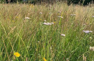 Farmhouse Apartment with Paddock & Orchard Views - Foto 11