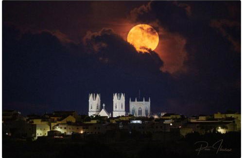 Finca Bernia Experience - Foto 59