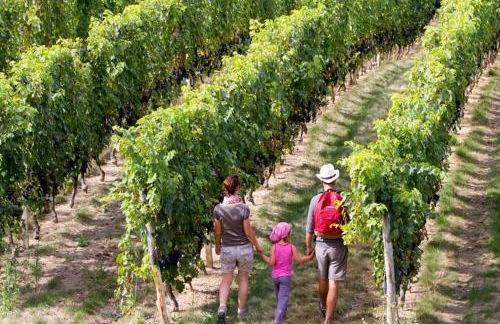 Chalet Quercy - Foto 11