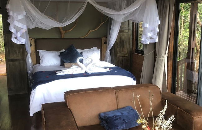 Teniqua Treetops - Foto 31