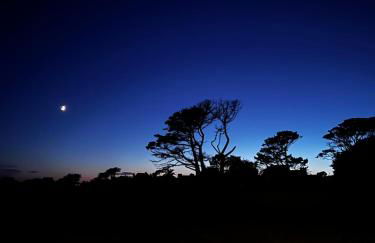 Villa Mamina, face à la mer, île Grande - Foto 31