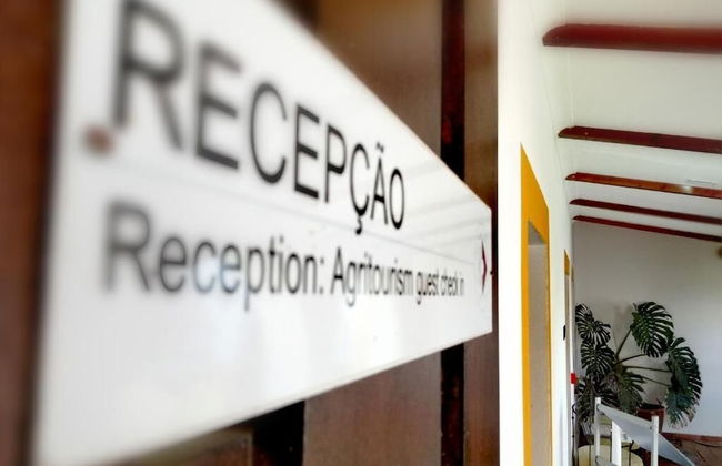 Herdade da Diabroria - Foto 64