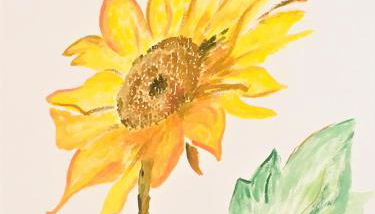 Il Girasole - Foto 5