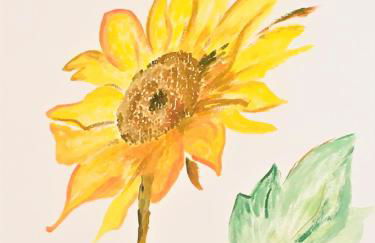 Il Girasole - Foto 5