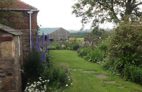 Hillis Close Farm Cottage - Foto 6