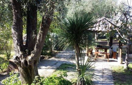 L' Agrumeto - Photo 11