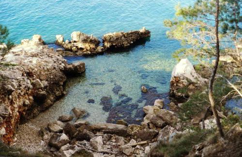 Vila Vita - Photo 70