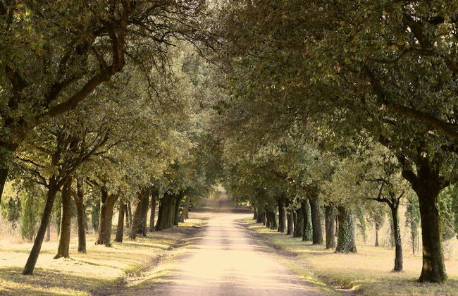 Agriturismo Kebio - Photo 26