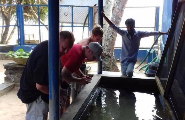 Prasad Suomi Villa - Foto 25