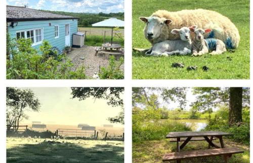 Park Farm Chalet - Foto 1