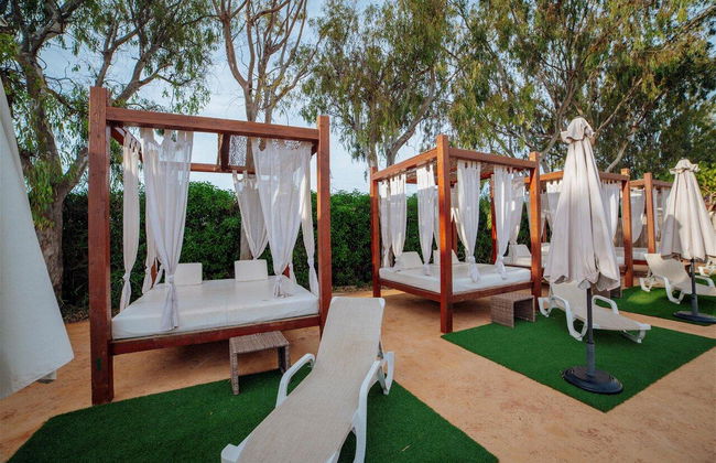 Alannia Guardamar - Foto 31