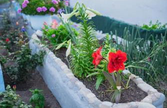 tony's house - Foto 3