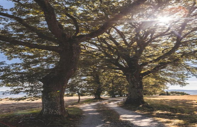 Spacious House in Pienza - Foto 49