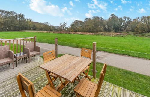 Alfie - Uk48109 - Foto 14