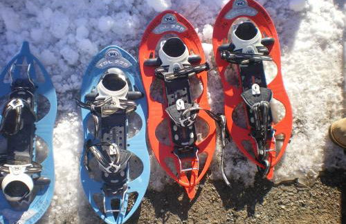 Au Studi'Ô - Foto 22