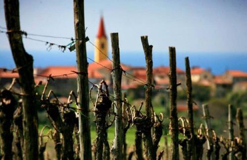 Apartment Ana - Foto 24