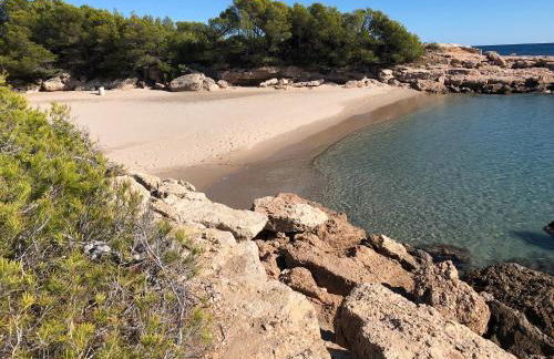 La Mandioca - Foto 15