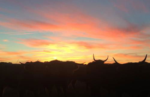 Ferienwohnung Hof Dittmer - Foto 3