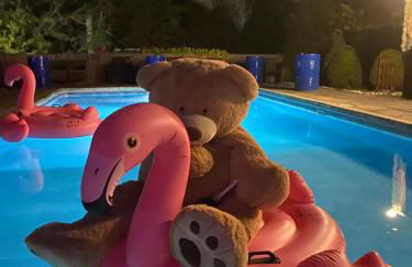 Grade II Listed Farmhouse, Pool, Hot Tub, Games Room, Celebration Hall, Car Park, 10ppl, 45 min from Central London - Foto 20